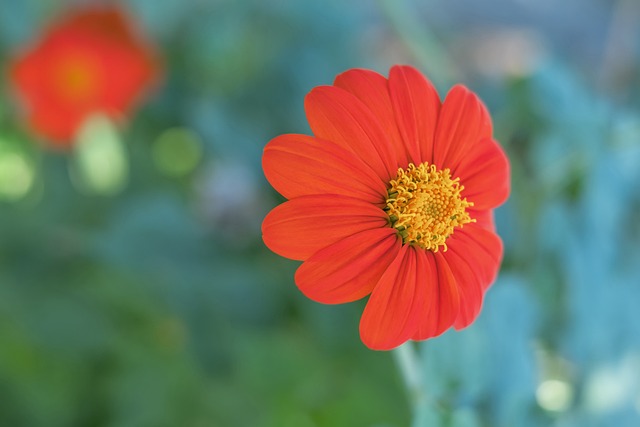 统和活跃的 统和活跃的