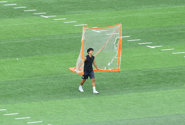 不久的将来 不久的将来