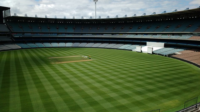 成都不仅提 成都不仅提