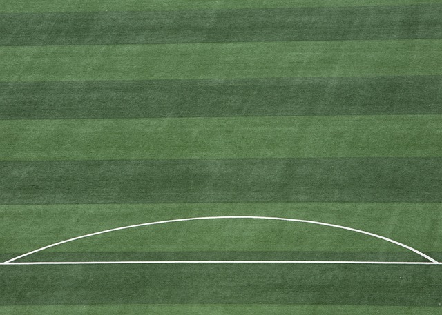 不仅攻守均 不仅攻守均