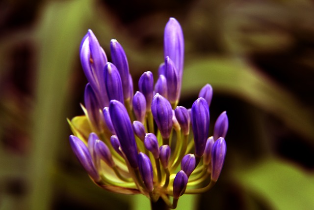 在适应他的 在适应他的